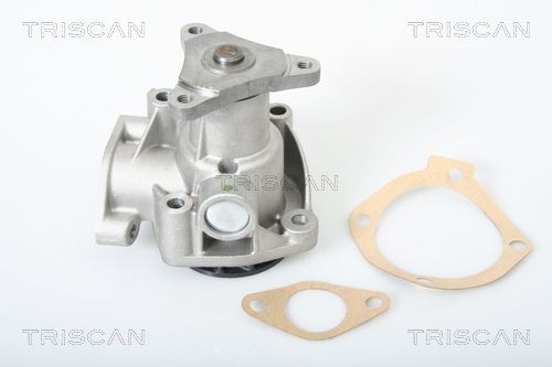 Wasserpumpe TRISCAN 8600 10003