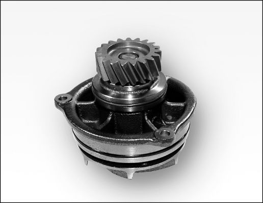 Wasserpumpe, Motorkühlung HEPU P1178