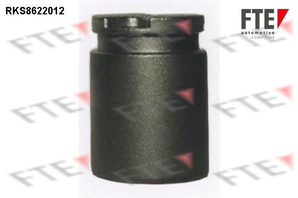 Kolben, Bremssattel FTE 9313174