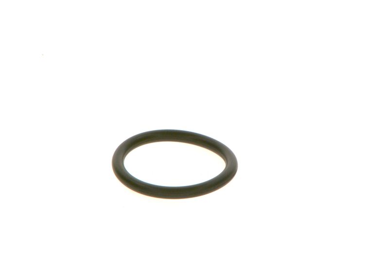 Gummiring BOSCH F 00R J01 728