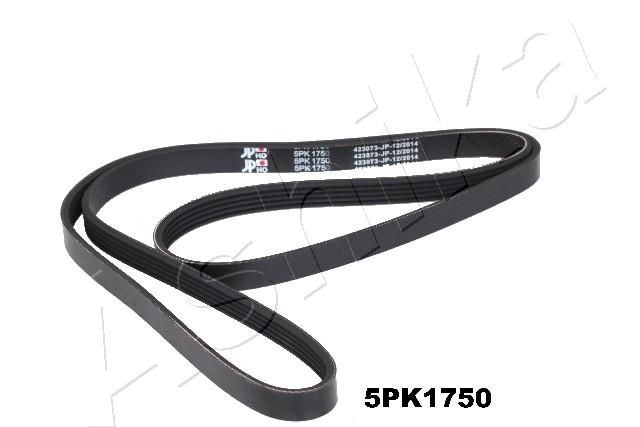 Keilrippenriemen Ashika 112-5PK1750