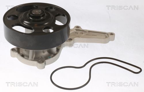Wasserpumpe TRISCAN 8600 40019