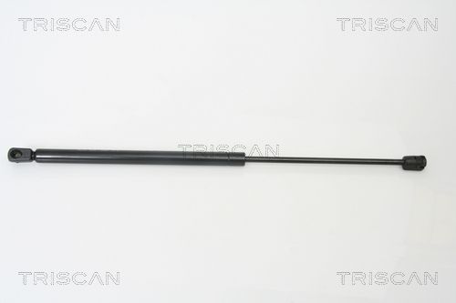 Heckklappendämpfer TRISCAN 8710 14243