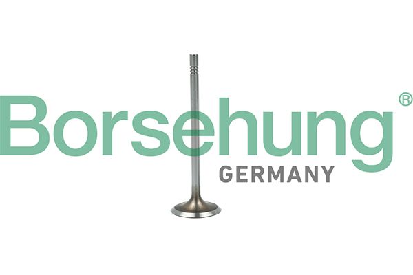 Einlassventil BORSEHUNG B19015