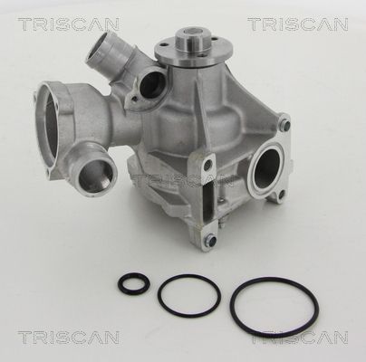 Wasserpumpe TRISCAN 8600 23981
