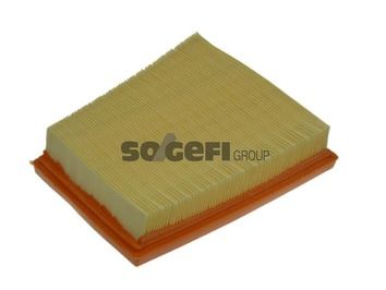 Luftfilter PURFLUX a1240