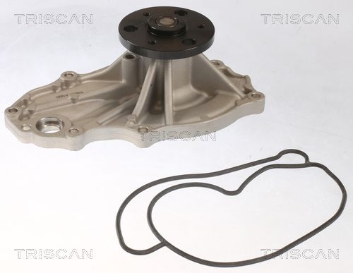 Wasserpumpe TRISCAN 8600 40025