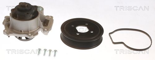 Wasserpumpe TRISCAN 8600 24056