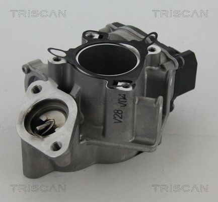 AGR-Ventil TRISCAN 881324039
