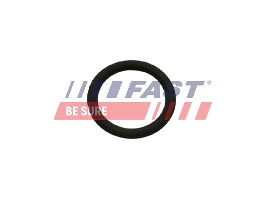 Dichtung, AGR-Ventil FAST FT50601
