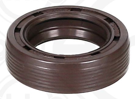 Dichtring ELRING 089.613