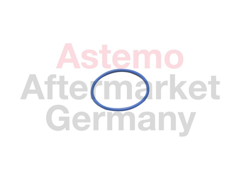 Dichtung, Kraftstoffpumpe HITACHI 2503056