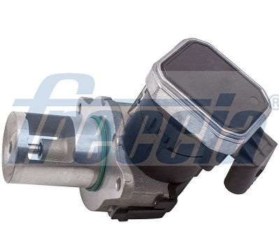 AGR-Ventil FRECCIA EGR12-209