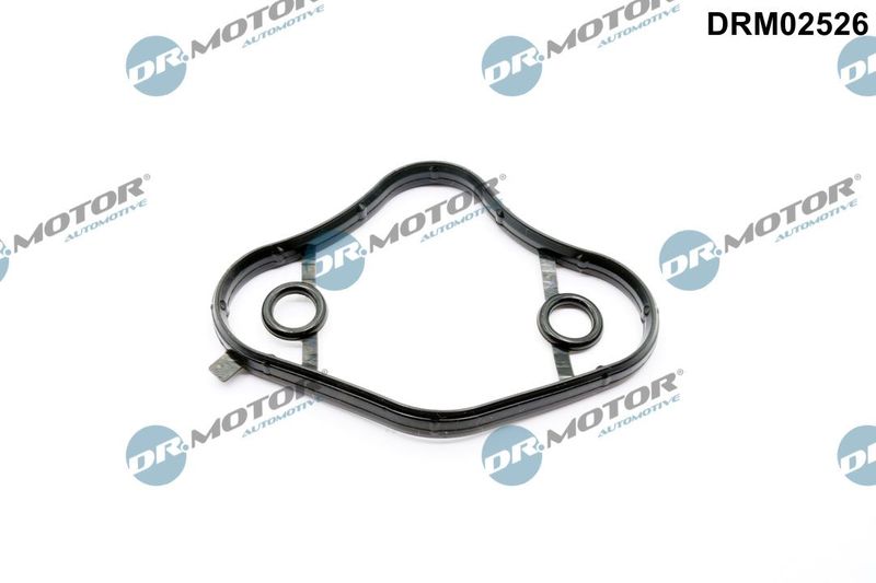 Dichtung Kraftstoffpumpe Dr.Motor Automotive DRM02526