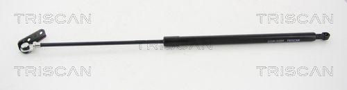 Heckklappendämpfer TRISCAN 8710 69202