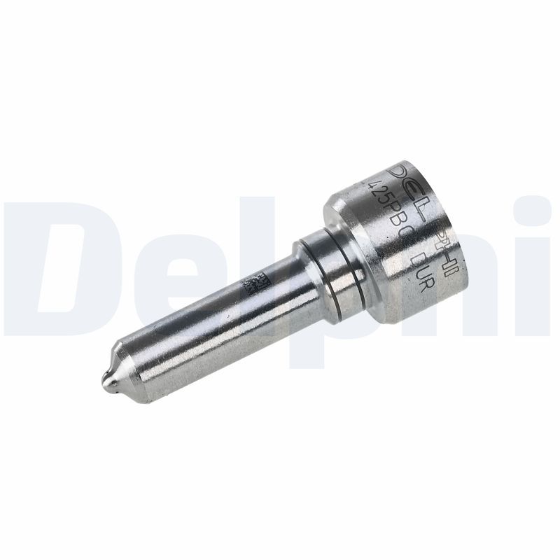 Reparatursatz, Einspritzdüse DELPHI L425PBC-12B1