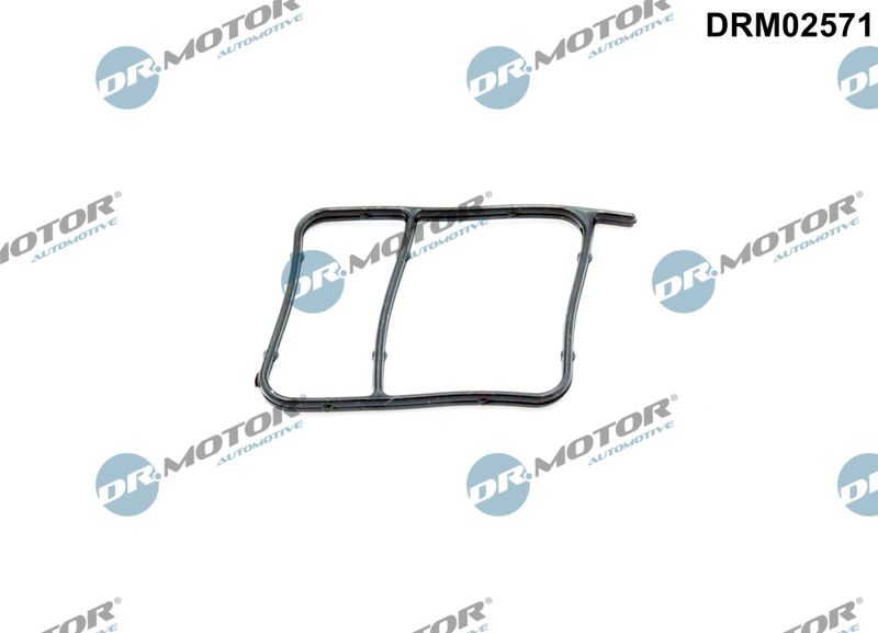 Dichtung Wasserpumpe Dr.Motor Automotive DRM02571