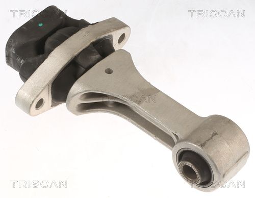 Motorlager TRISCAN 8505 43109
