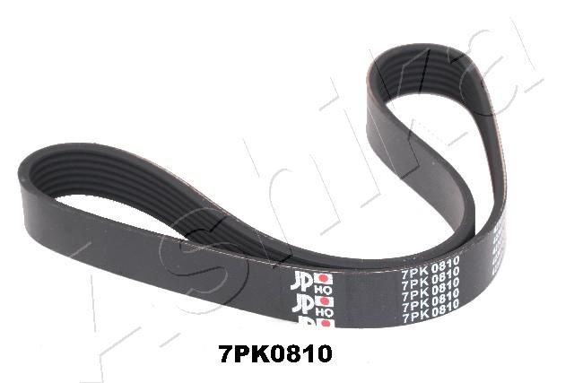 Keilrippenriemen Ashika 112-7PK810