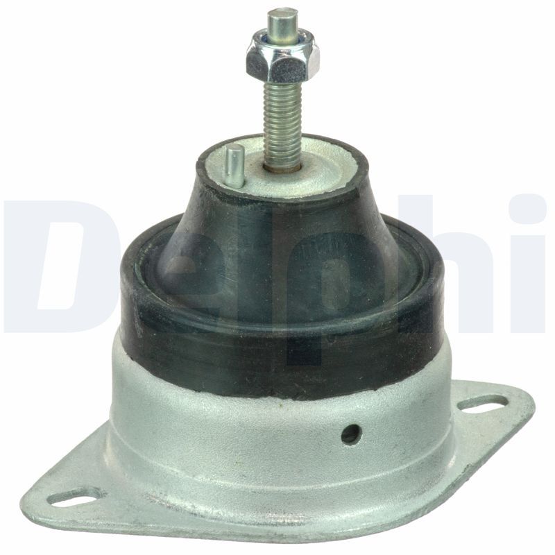 Lagerung, Motor DELPHI TEM078