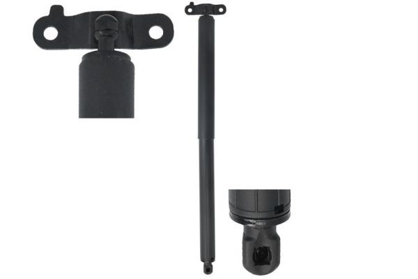 Gasfeder, Koffer-/Laderaum Magnum Technology MGS3148MT