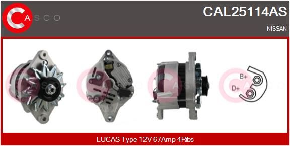 Lichtmaschine Generator Casco CAL25114AS