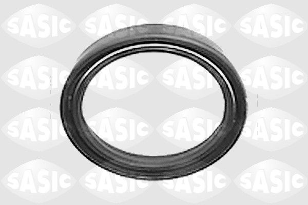 Wellendichtring, Radnabe SASIC 3463063