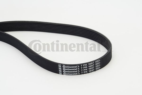 Keilrippenriemen CONTINENTAL CTAM 7PK1687