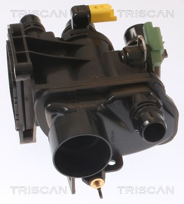 Kühlwasserthermostat TRISCAN 8620 55197