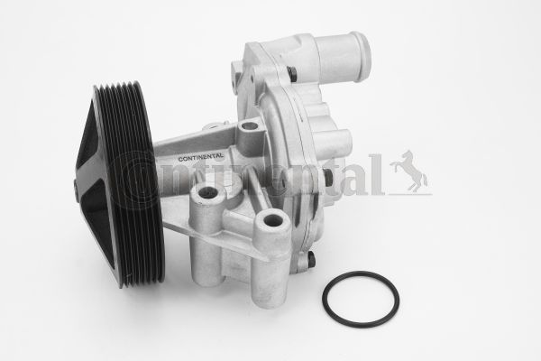 Wasserpumpe, Motorkühlung CONTINENTAL CTAM WPS3081