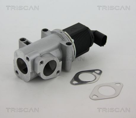 AGR-Ventil TRISCAN 881310015