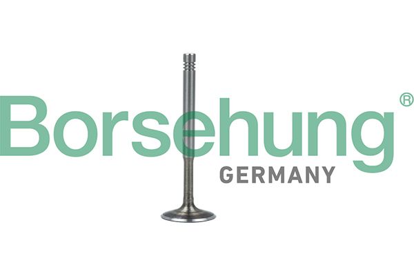 Auslassventil BORSEHUNG B19010