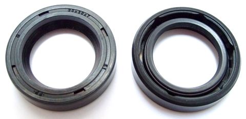 Dichtring ELRING 102.300
