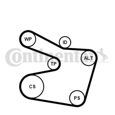 Keilrippenriemensatz CONTINENTAL CTAM 6PK1538K2