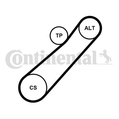 Keilrippenriemensatz CONTINENTAL CTAM 7PK880K1