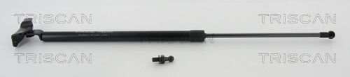 Heckklappendämpfer TRISCAN 8710 68216