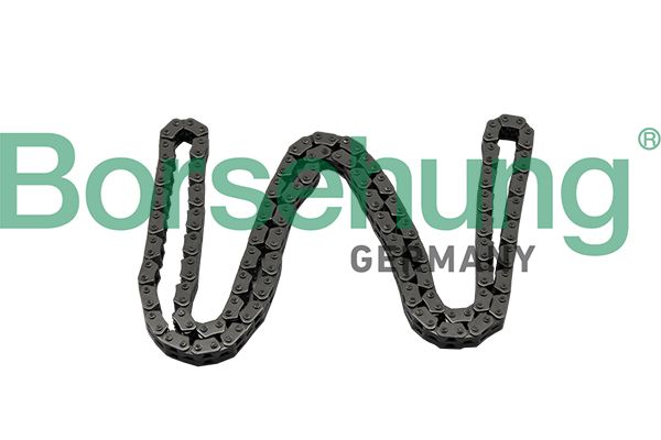 Steuerkette BORSEHUNG B17886