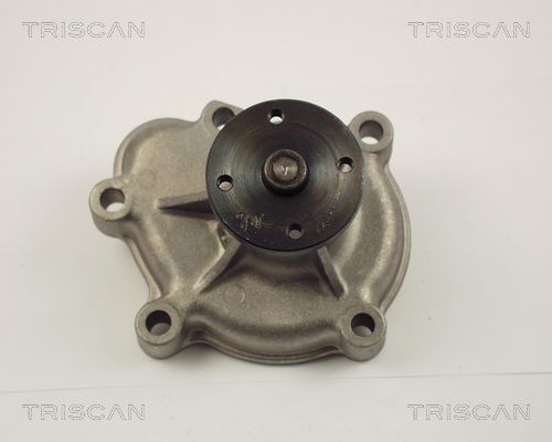 Wasserpumpe TRISCAN 8600 24008