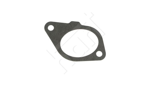 Dichtung, Ansaugkrümmer HART 713 863