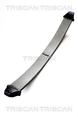 Federnpaket TRISCAN 876523012