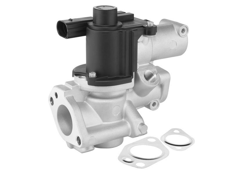 AGR-Ventil BorgWarner 729020D