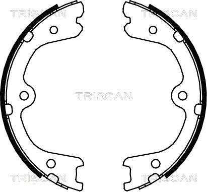 Bremsbackensatz Feststellbremse TRISCAN 8100 14008