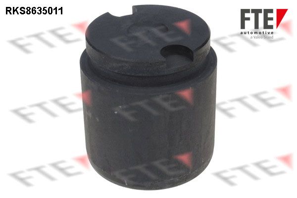 Kolben, Bremssattel FTE 9313319