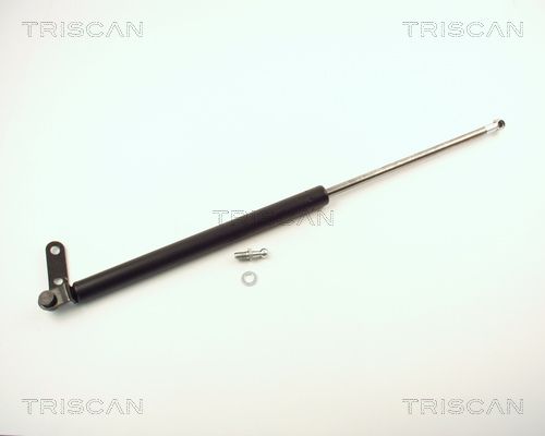 Heckklappendämpfer TRISCAN 8710 14219