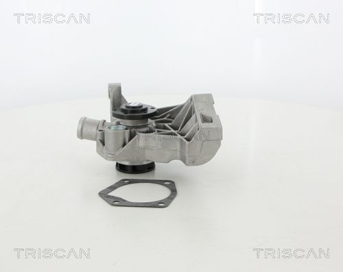 Wasserpumpe TRISCAN 8600 29036HD