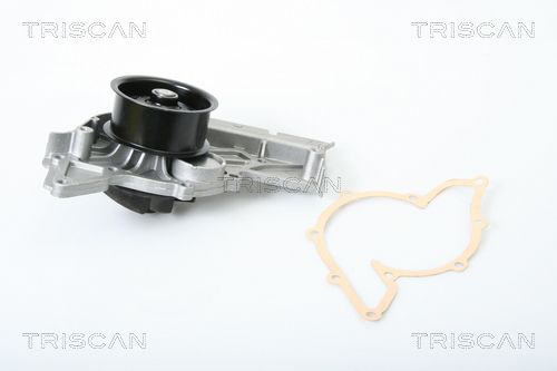 Wasserpumpe TRISCAN 8600 29039