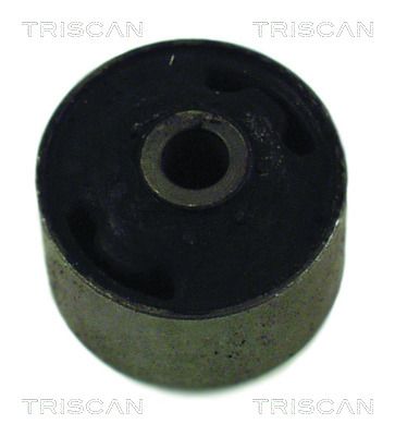Lager Achskörper Hilfsrahmen TRISCAN 8500 29801