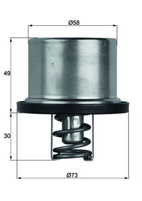 Thermostat, Kühlmittel MAHLE TX3779