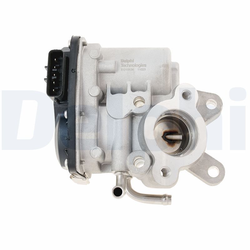 AGR-Ventil DELPHI EG10636-12B1