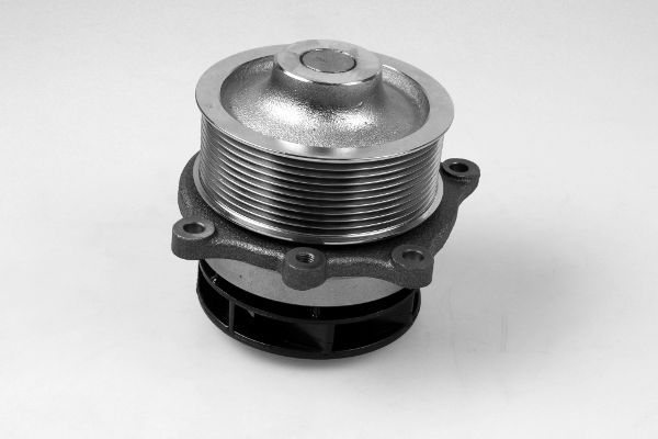 Wasserpumpe, Motorkühlung HEPU P1204